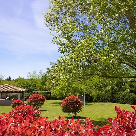Beautiful Morena With Private Swimming Pool Near Porec * Basici