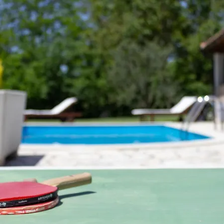 Beautiful Morena With Private Swimming Pool Near Porec Villa Basici