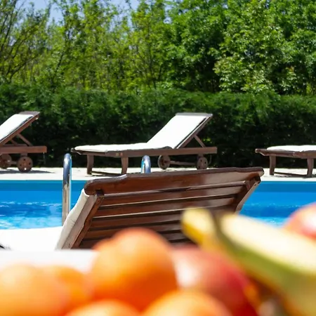 Beautiful Morena With Private Swimming Pool Near Porec Villa *