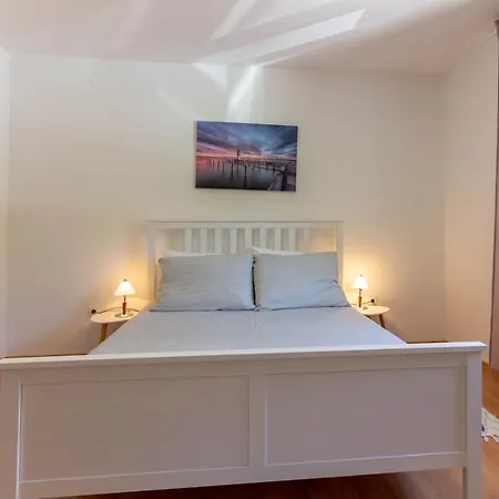 Villa Beautiful Morena With Private Swimming Pool Near Porec *